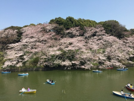 Chidorigafuchi