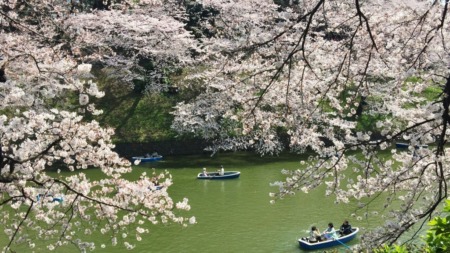 Chidorigafuchi-ryokudo Walkway