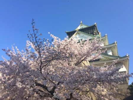 Osaka castle
