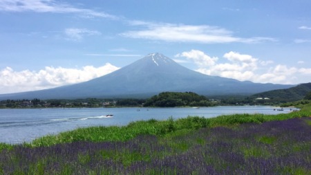 Kawaguchiko Herb Festival