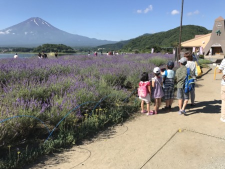 Photo spot of Kawaguchiko herb festival