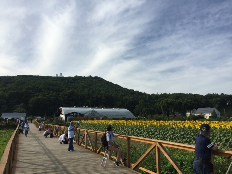 Hanano Miyako Koen park