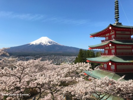 Cherry blossoms,Mt.Fuji and Chureito pagoda Arakurayama Sengen Park