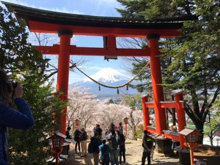 Torii gate of Arakurayama Sengen Park