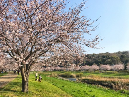 Hikichigawa Shinsui Koen Park