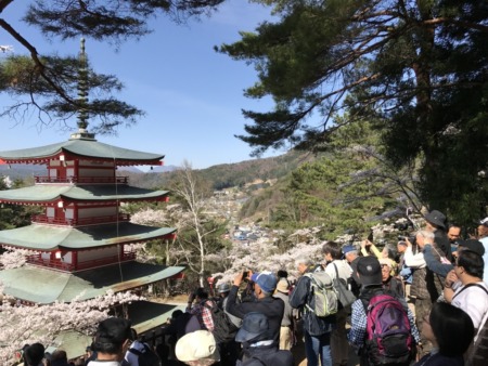 Chureito pagoda at observation deck of Arakurayama Sengen Park