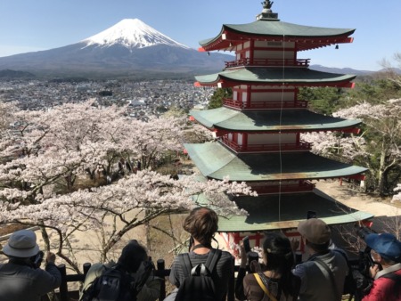 Cherry blossom,Mt.Fuji and Chureito pagoda Arakurayama Sengen Park