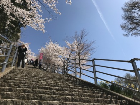 Path of 398 Steps at Arakurayama Sengen Park