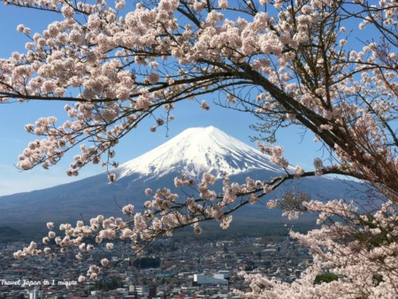 Mt.Fuji at Arakurayama Sengen Park