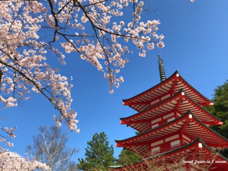 Chureito pagoda and cherry blossoms at Arakurayama Sengen Park