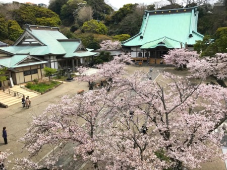 Scenery from top of the Sanmon gate at Komyoji temple in Kamakura
