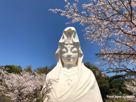 Ofuna Kannon and cherry blossoms