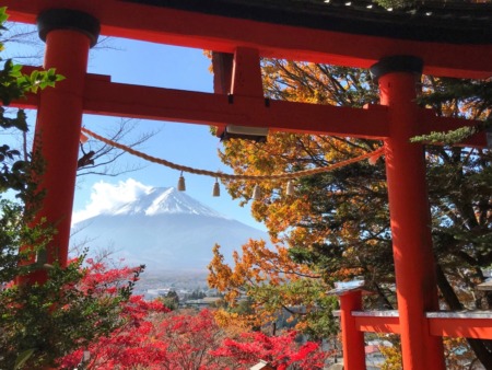 Autumn leaves , Mt.Fuji and torii gate in Arakurayama Sengen Park