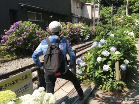 Goryo Jinja shrine in Kamakura