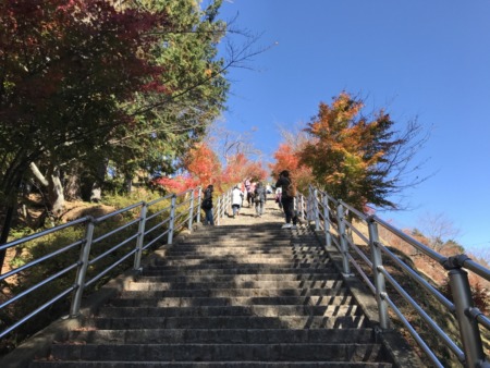 Autumn leaves in Arakurayama Sengen Park