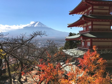 Autumn leaves in Arakurayama Sengen Park