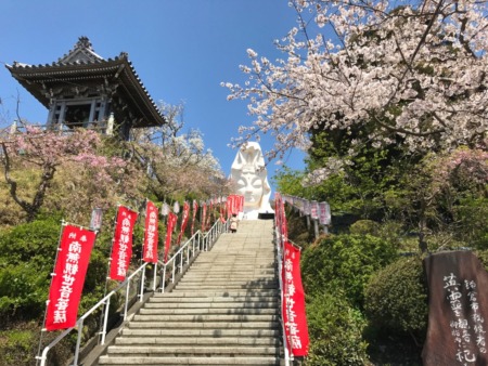 Ofuna Kannon and cherry blossoms