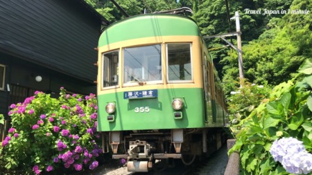 Hydrangea and Enoden line at Goryo Jinja shrine in Kamakura