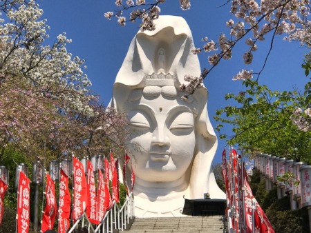 Ofuna Kannon and cherry blossoms