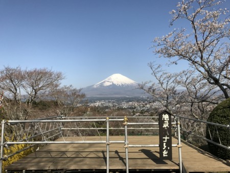 Observatory deck and cherry blossoms at Heiwa Koen Park