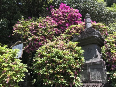 Anyoin temple in Kamakura