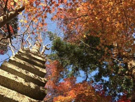 Kakuonji temple in Kamakura