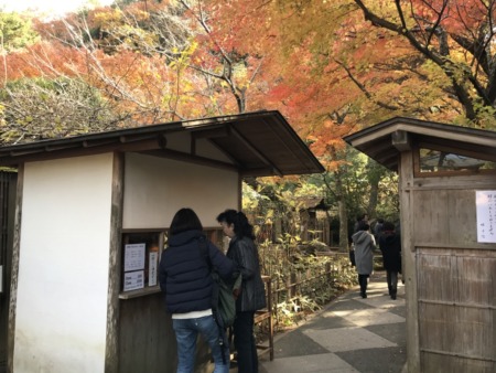 Entrance of Meigetsuin in Kamakura