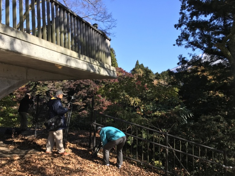 Shiraito Falls