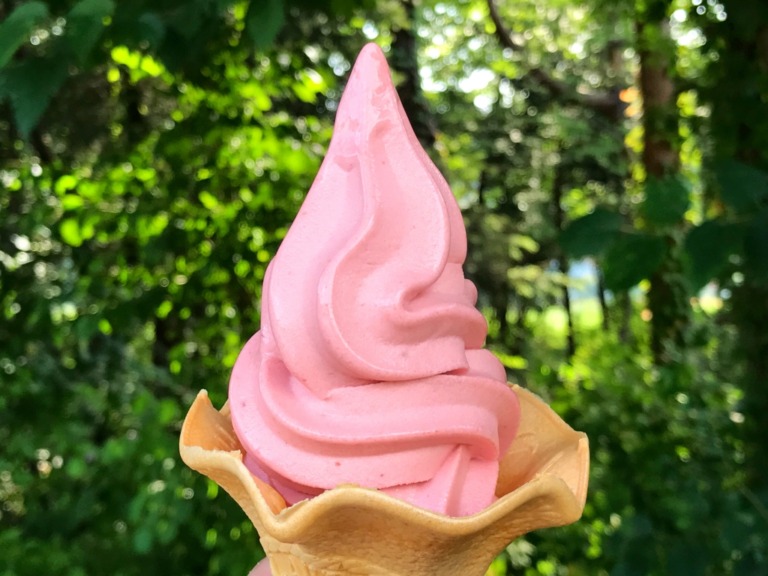 soft ice cream at Hanano Miyako Koen park