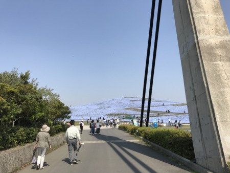 Hitachi Seaside Park