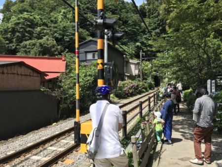 Photo spot of Enoden and hydrangea