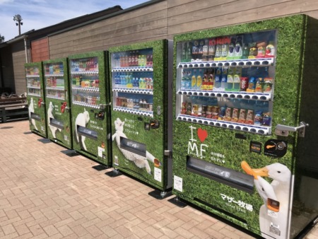 Automatic drink vending machine in Petunia in Mother Farm