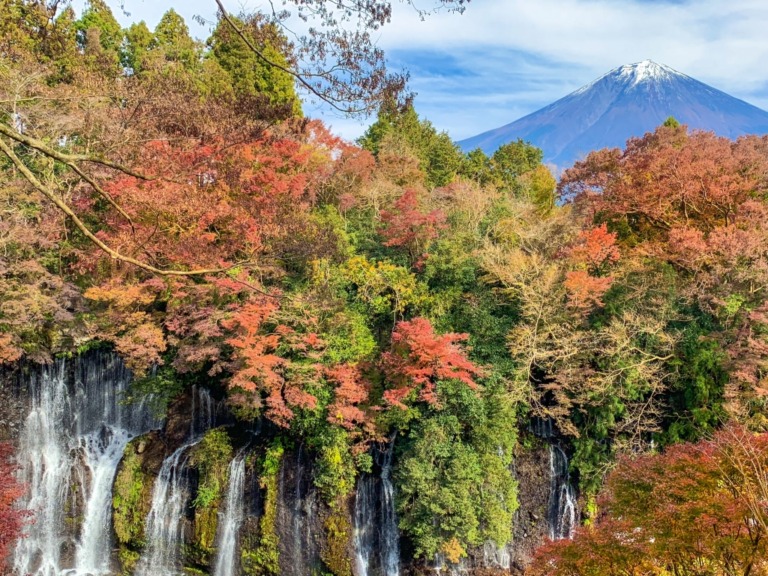 Shiraito Falls and Mt.Fuji in 2018