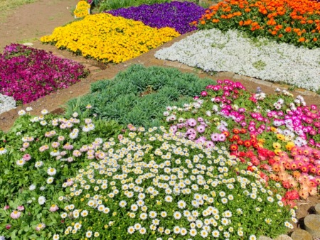 little flower bed at Ryuganbuchi