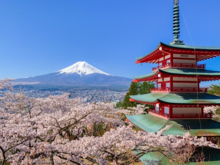 Cherry blossoms and 5 story pagoda in Arakurayama Sengen Park 2019